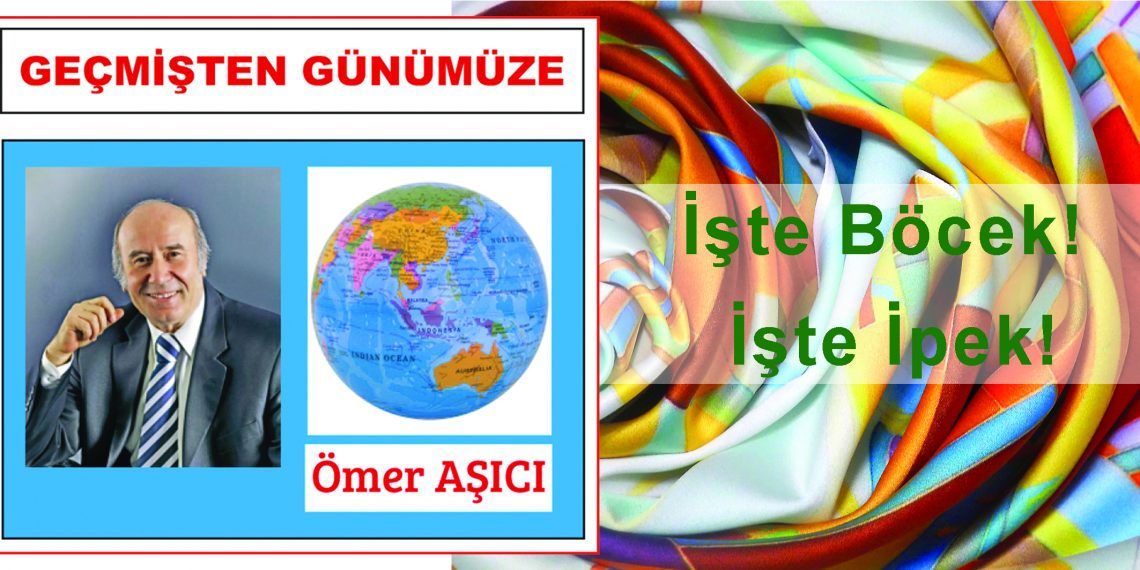 İşte Böcek! İşte İpek!