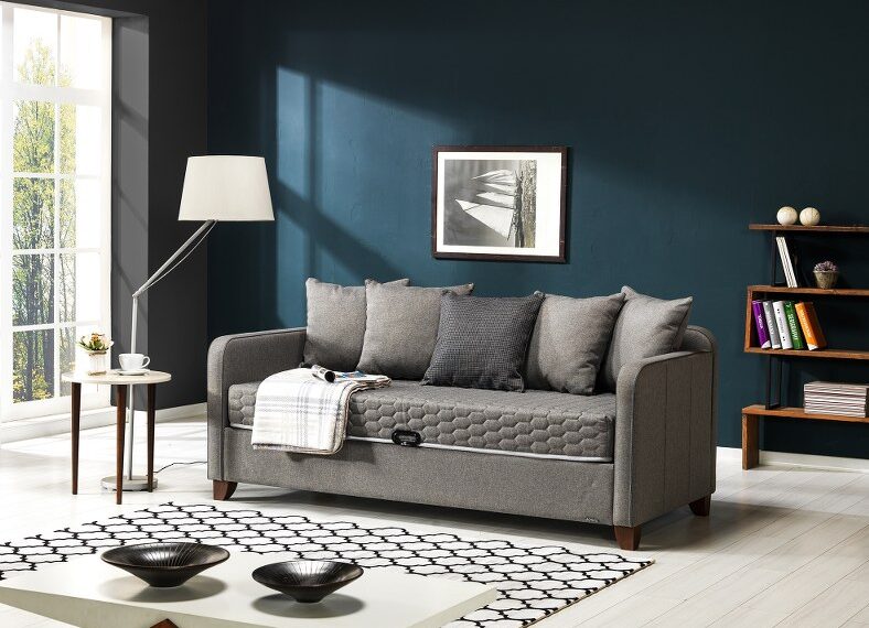 İster Yatak İster Koltuk Olan Armis  Daybed ile Evinizde Yer Açın