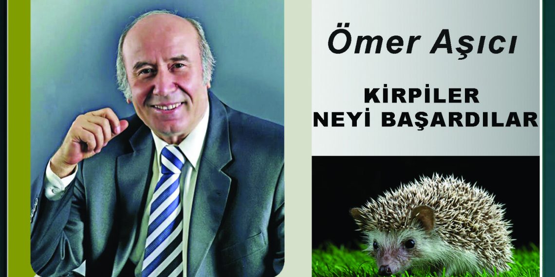 Kirpiler Neyi Başardılar!