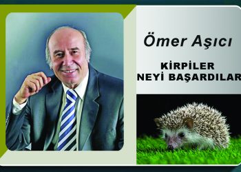 Kirpiler Neyi Başardılar!
