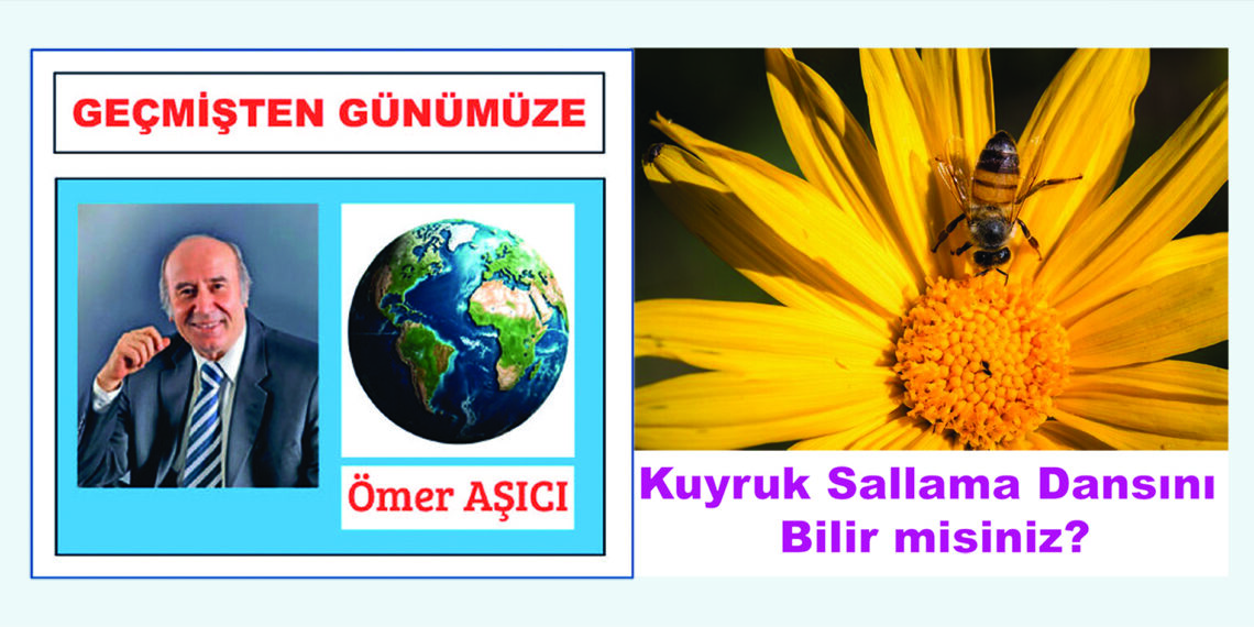 Kuyruk Sallama Dansını    Bilir misiniz?