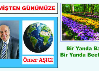 Bir Yanda Bahar  Bir Yanda Beethoven