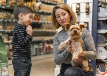 Küçük Köpeğe  Bir Arkadaş!